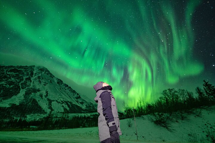 Incredible Aurora Viewing Adventure - Photo 1 of 25